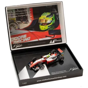 1:43, Mick Schumacher Dallara Mercedes F317 F3 European Champion 2018 Modello di automobile