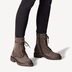 Anfibio tamaris scamosciato