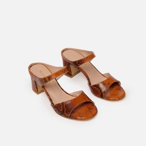 Alyette Pitone Marrone