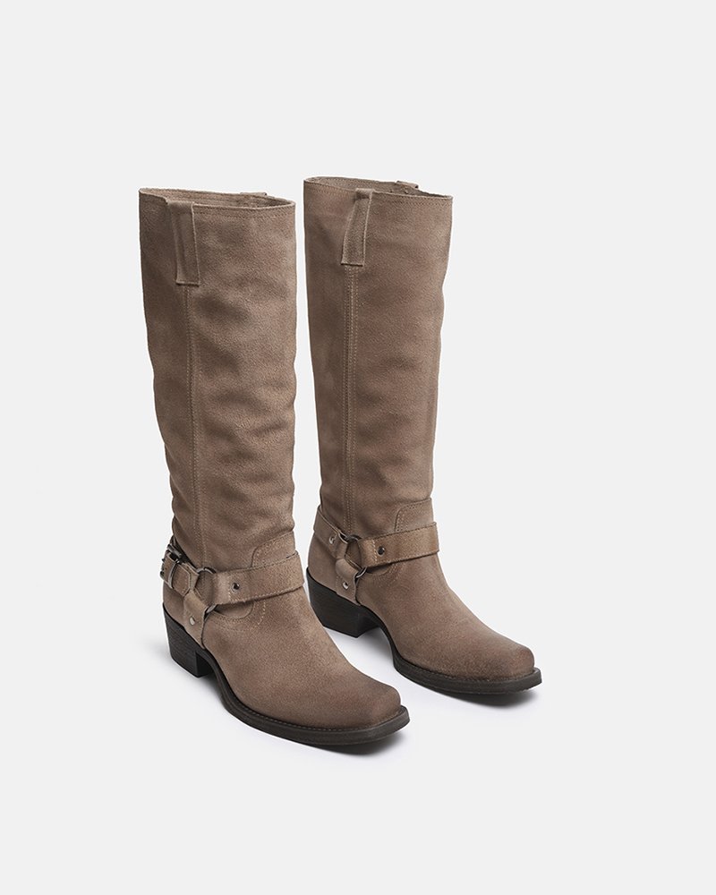 Mirabelle Camel - immagine 4