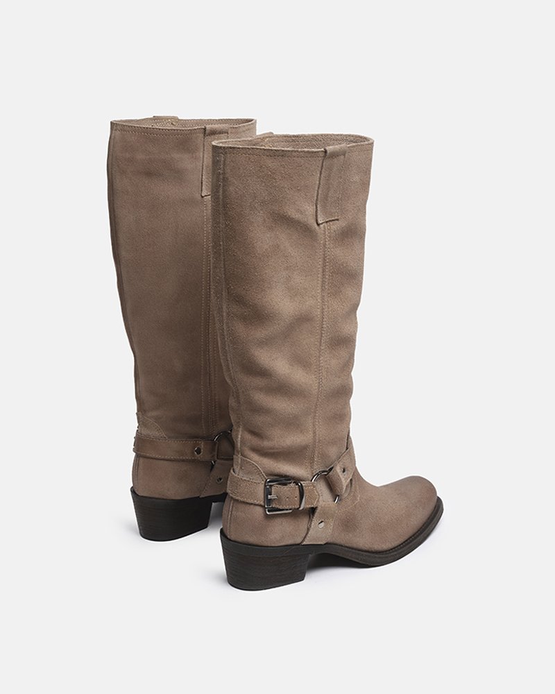 Mirabelle Camel - immagine 5